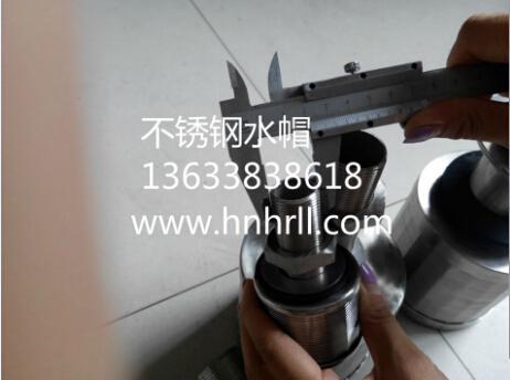 熱烈慶賀我公司不銹鋼水帽廠家轉(zhuǎn)型成功